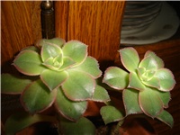 12f2b8d6-Picture 014.jpg